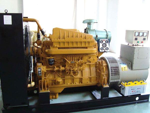 苍南有哪些有效的方法可以预防柴油发电机组的蓄电池出现硫化现象？